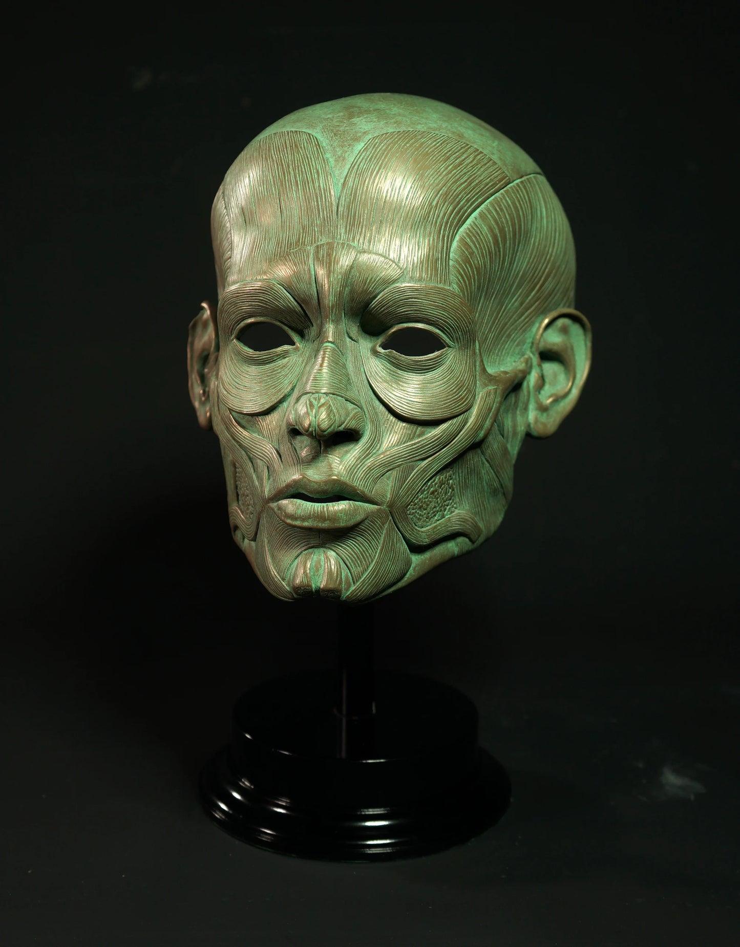 Ecorche - Bronze Display Mask (Traditional Patina)